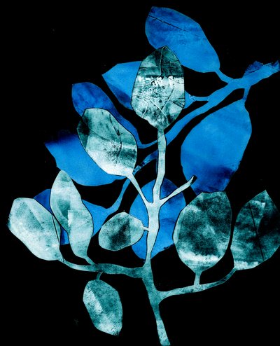 Nocturnal Garden, 2017 (dijital, bir kolajraftan) by Stephen Dow