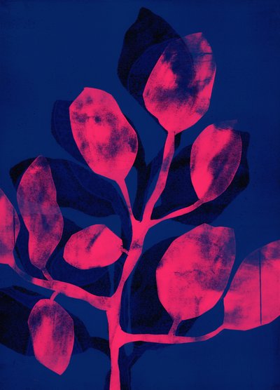 Yaz Bahçesi III pembe, 2018 (dijital) by Stephen Dow