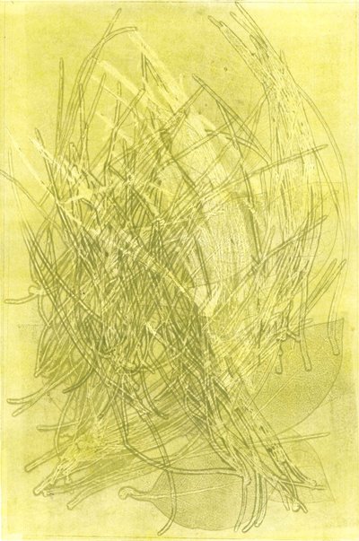  by Stephen Dow