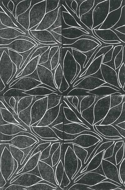 Vines, 2015 by Stephen Dow