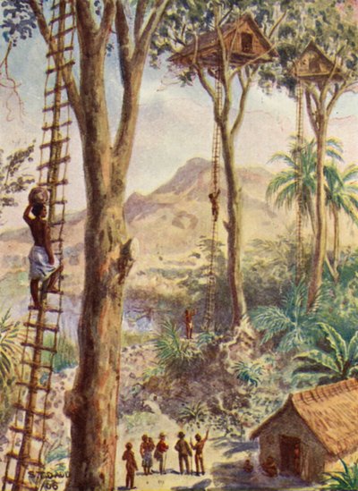 Piskopos Patteson
