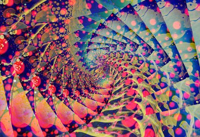  by Steve Pavlovsky