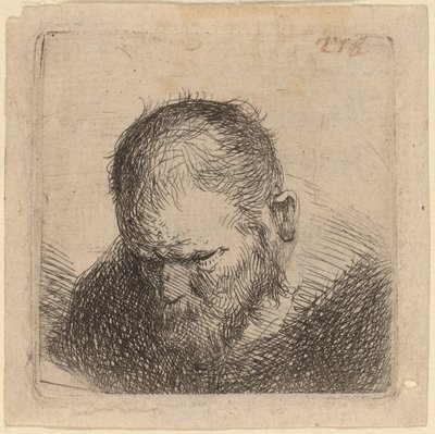Sakallı adam aşağı bakıyor by Studio of Rembrandt van Rijn