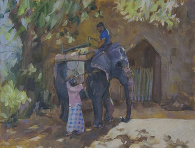 Fil, Sri Lanka, 2015, by Sue Wales
