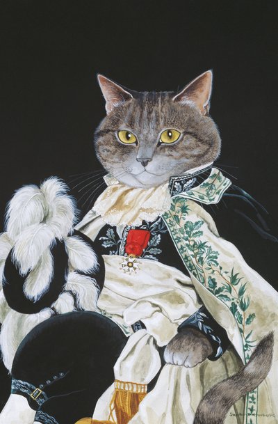 Cats Galore