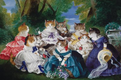 Cats Galore