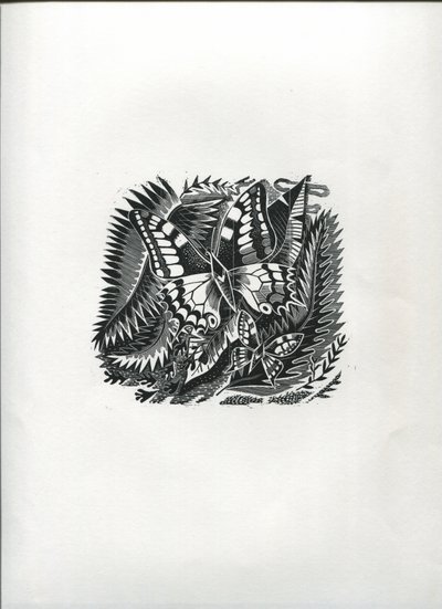 Tropikal Kelebekler (ahşap gravür) by Suzanne Cooper