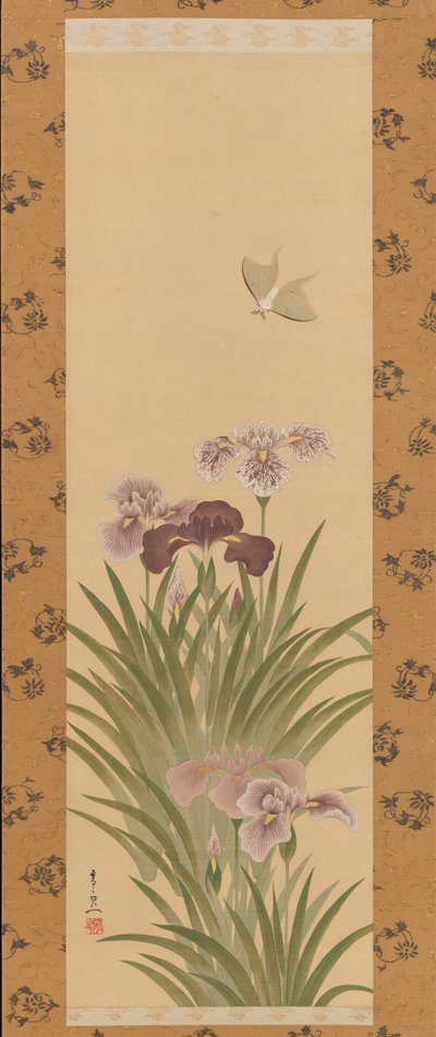 Süsen ve Güve, ca. 1850. by Suzuki Kiitsu
