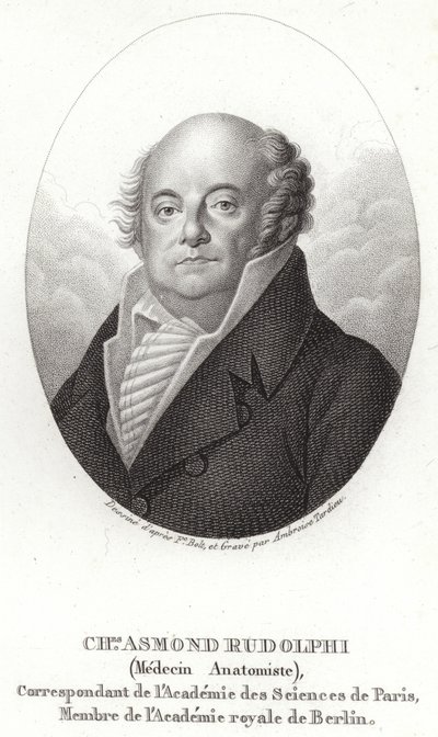 Karl Asmund Rudolphi by Swedish School
