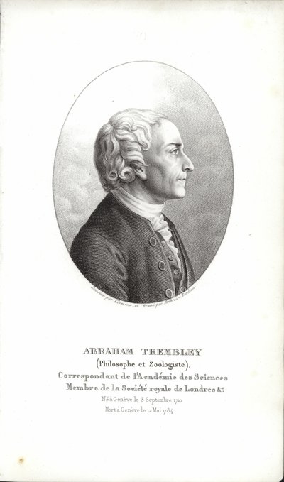 İbrahim Trembley by Swiss School