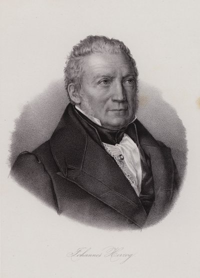 Johannes Herzog Von Effingen, İsviçreli politikacı ve girişimci (gravür) by Swiss School