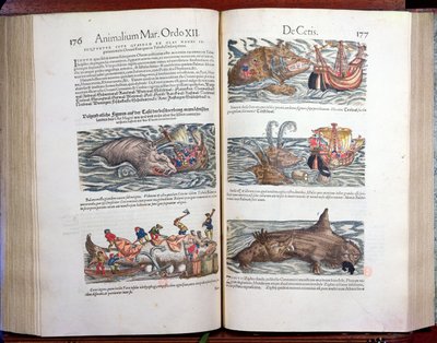 Bir balinaya ve balinaya katılmak, Appendix historiae quadrupedum, viviparorum et ovipororum