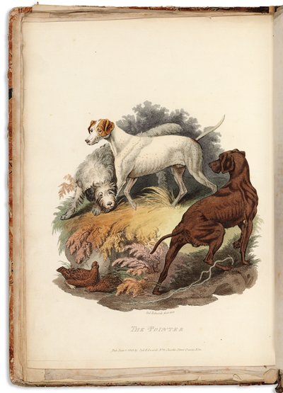 Cynographia Britannica: Büyük Britanya