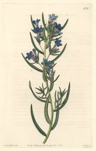 Gremil Sicilya