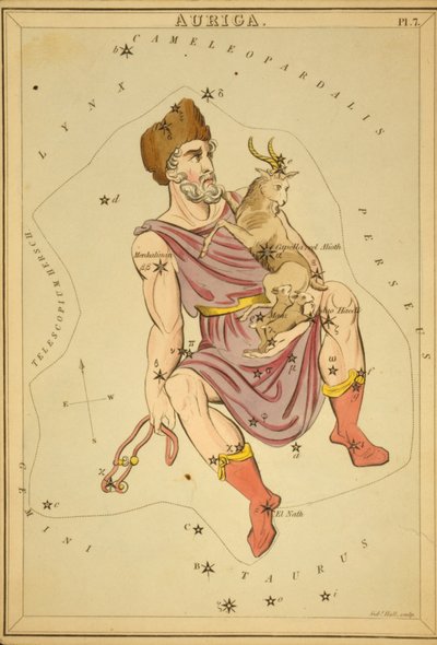 Auriga, 