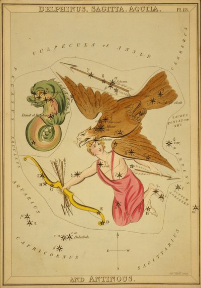 Delphinus, Sagitta, Aquila ve Antinous, 
