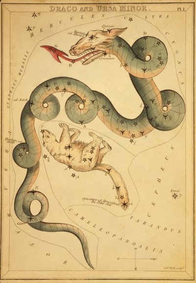 Draco ve Küçükayı, 