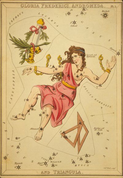 Gloria Frederici, Andromeda ve Üçgen, 