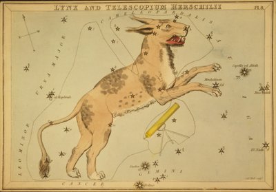 Lynx ve Telescopium Herschilii, 