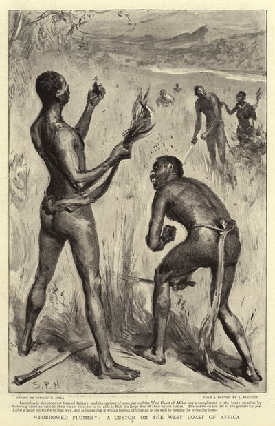 Ödünç Tüyler, Afrika
