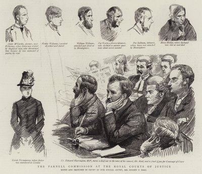 Kraliyet Adalet Mahkemelerinde Parnell Komisyonu by Sydney Prior Hall