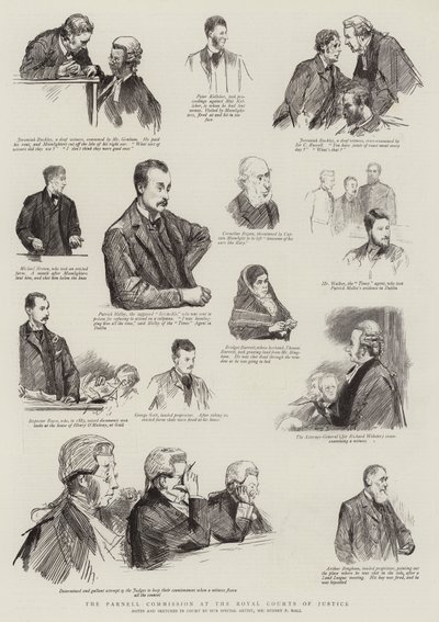 Kraliyet Adalet Mahkemelerinde Parnell Komisyonu by Sydney Prior Hall
