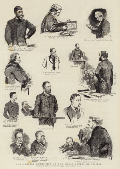 Kraliyet Adalet Mahkemelerinde Parnell Komisyonu by Sydney Prior Hall