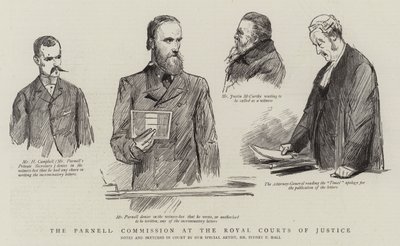 Kraliyet Adalet Mahkemelerinde Parnell Komisyonu by Sydney Prior Hall