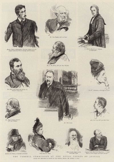 Kraliyet Adalet Mahkemelerinde Parnell Komisyonu by Sydney Prior Hall