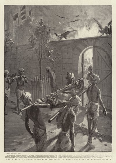 Bombay