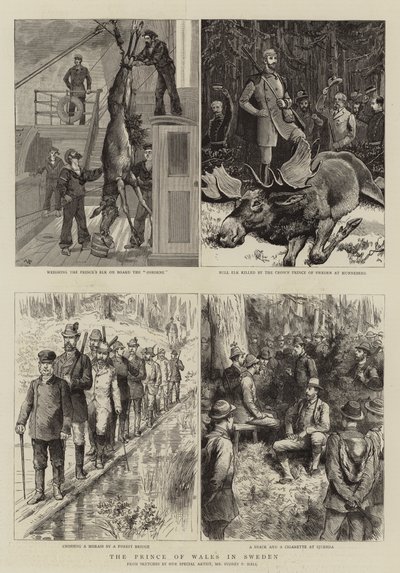 Galler Prensi İsveç