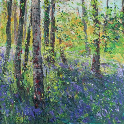 Huş Ağaçları ve Bluebells by Sylvia Paul