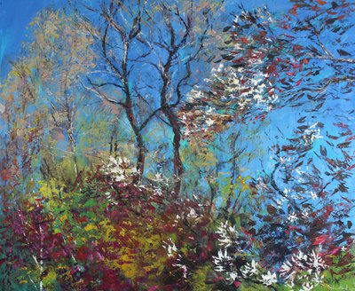 Çiçeği ve Mavi Gökyüzü by Sylvia Paul