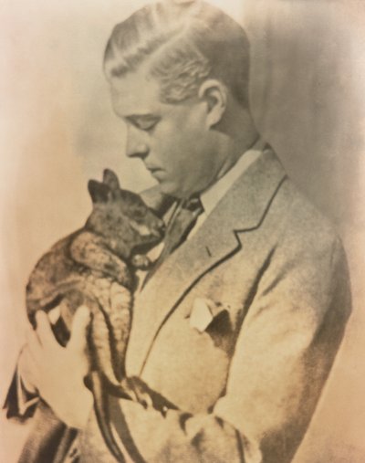 Edward, Galler Prensi by T. Paul Fisher