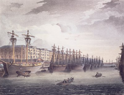Batı Hindistan Rıhtımları by T. and Pugin A.C. Rowlandson