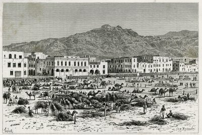 Aden (Yemen) yürüyüşü. Taylor