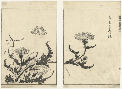 ぢ s eli ls bahçe vin r Bu beyannamenin sona ermesi mi (serie s land te) by Tachibana Morikuni (attributed to)