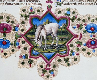 Sayfanın dibinde tek boynuzlu atlı bordür frizi, Cilt II f 245, v, Borso d