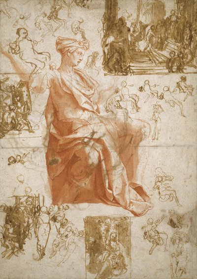 Elymas