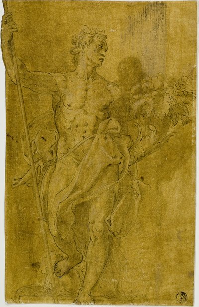  by Taddeo Zuccaro