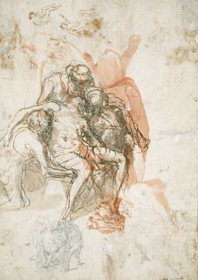  by Taddeo Zuccaro