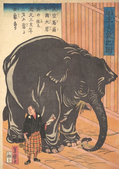 İthal Büyük Filin Görünümü, 1863 Bunkyo 3, 4. Ay. by Taguchi Yoshimori