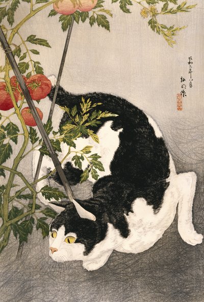 Kazıklı Bir Domates Fabrikasının Etrafında Dolaşan Kedi, 1931 (tahta baskı) by Takahashi Hiroaki