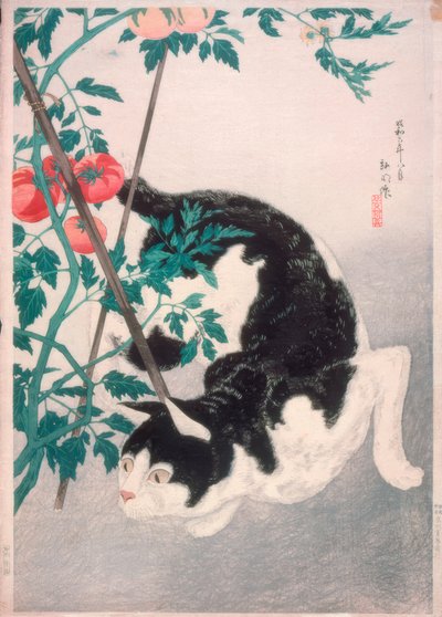 Domates bitkisi olan kedi by Takahashi Hiroaki