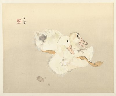 genç ördekler by Takeuchi Seiho