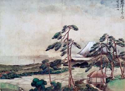 Kanagawa sahilinin görünümü by Tani Buncho