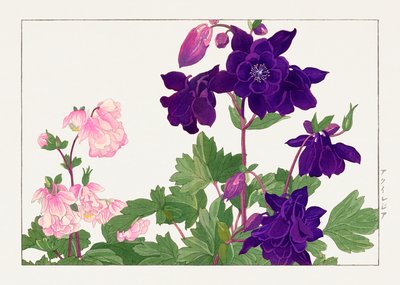  by Tanigami Konan