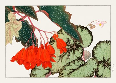  by Tanigami Konan