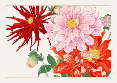  by Tanigami Konan