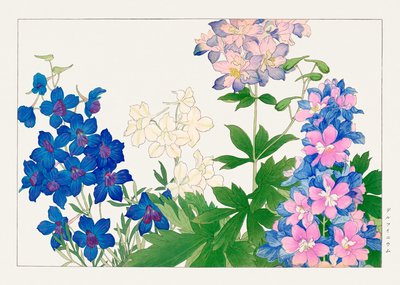  by Tanigami Konan